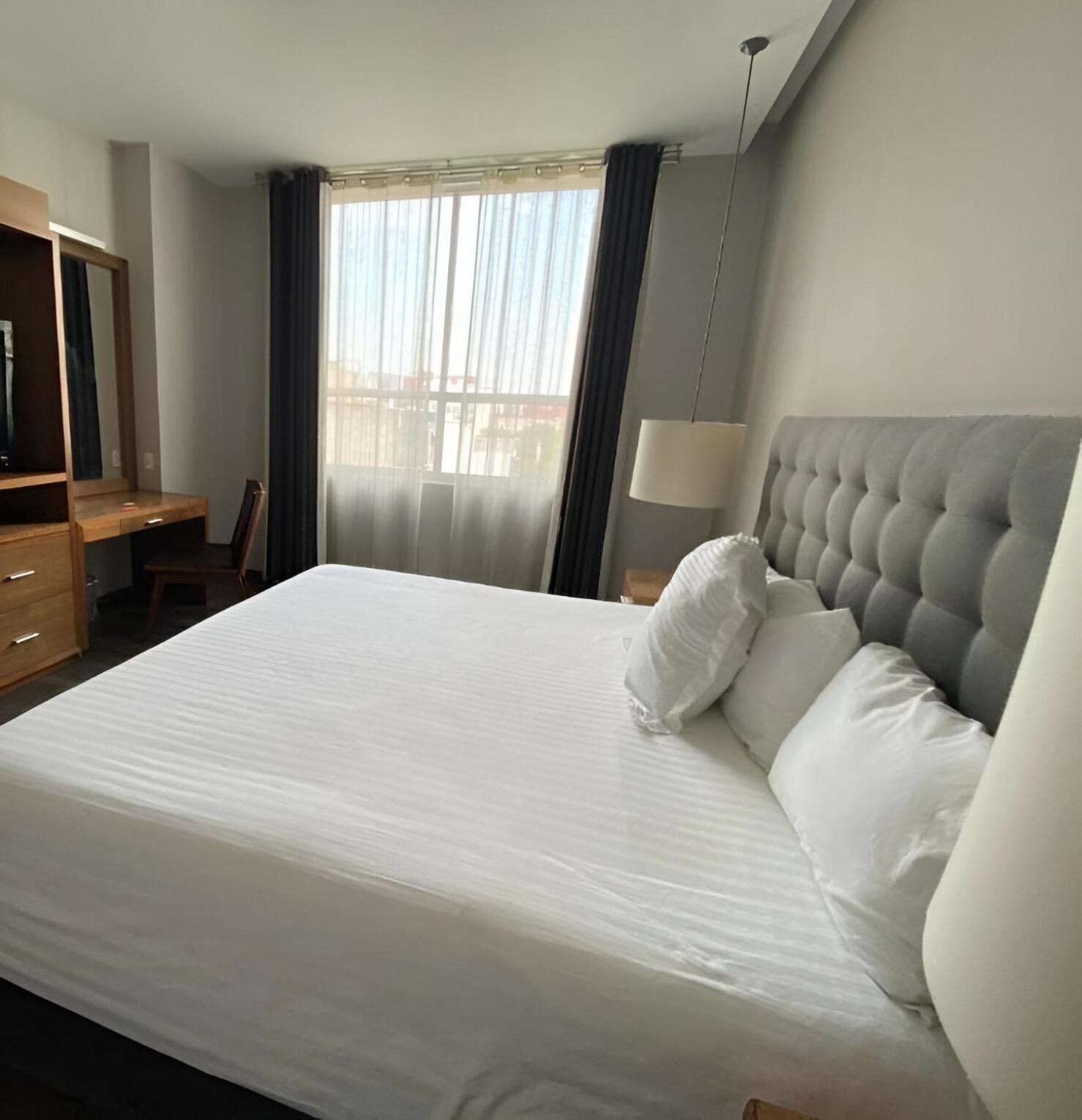 Suites Del Angel メキシコシティ エクステリア 写真