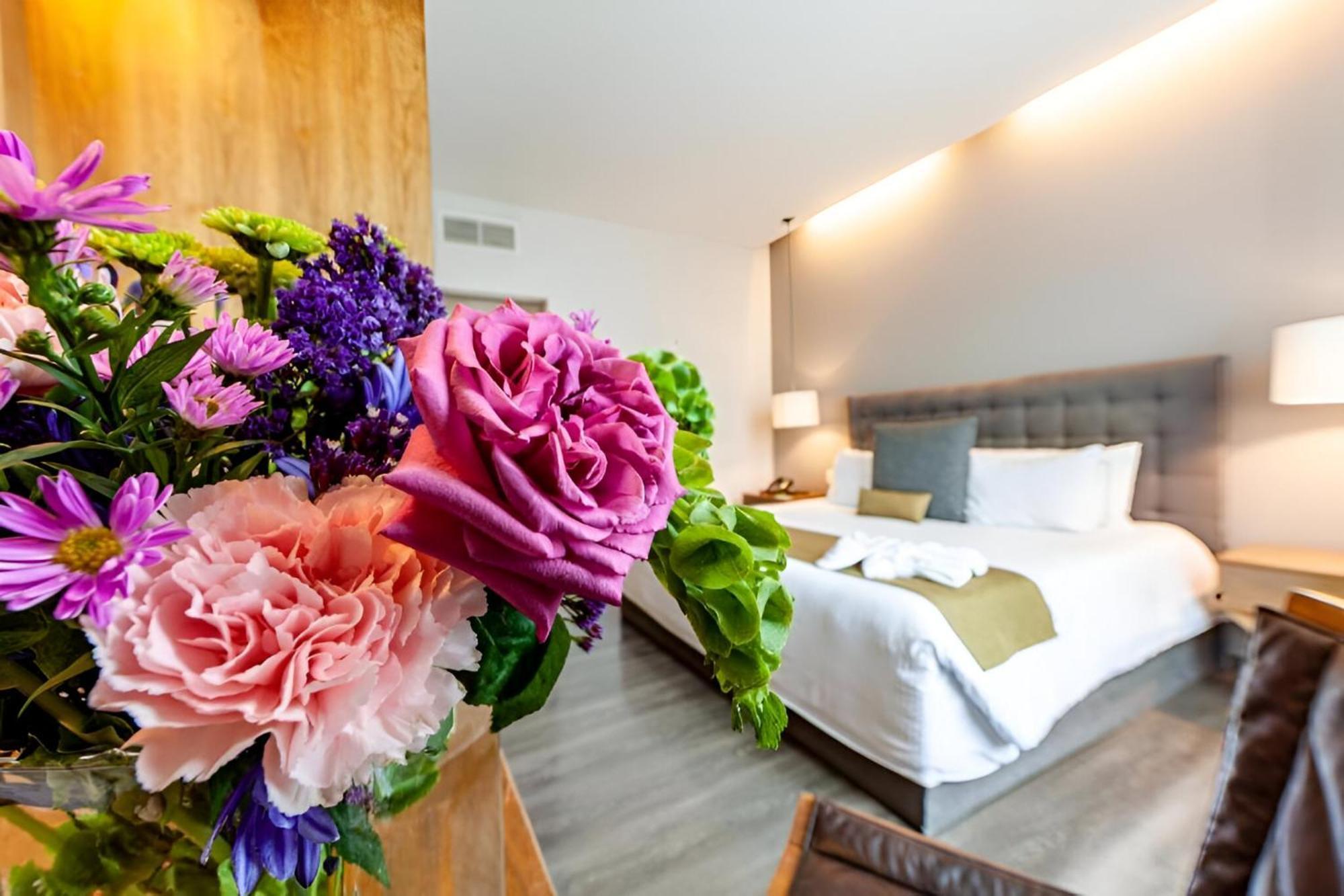 Suites Del Angel メキシコシティ エクステリア 写真